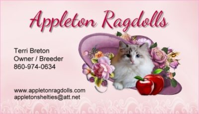 Appleton Ragdolls - Ragdoll Breeder